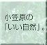 �R�����g