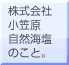 �R�����g